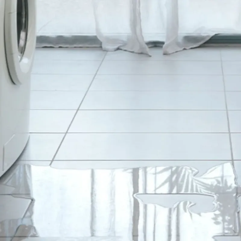 Appliance Leak Cleanup in Ashville, AL
