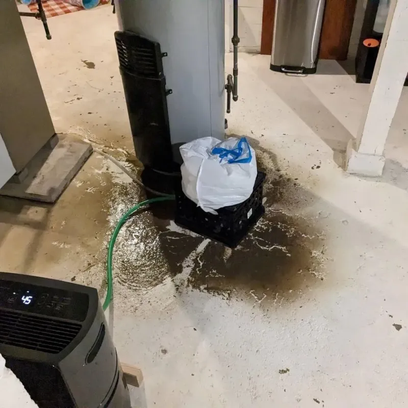 Sewage Backup Cleanup Service in Ashville, AL